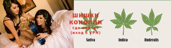 мяу мяу мука Бородино